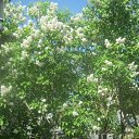 ���� Evdokia, �����-���������, 71 ��� - ��������� 11 ����� 2023