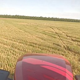 ������, ������, 51 ���