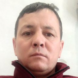 ���������, ������, 42 ����