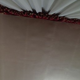 ������, �����, 37 ���