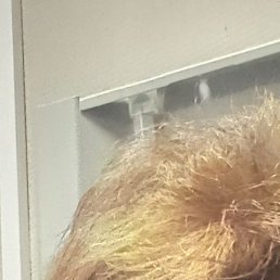 ��������, ������, 45 ���