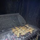 ���� �����, �����������, 54 ���� - ��������� 2 ������ 2023 � ������ ���� ����������