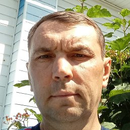 �����, ������, 49 ���