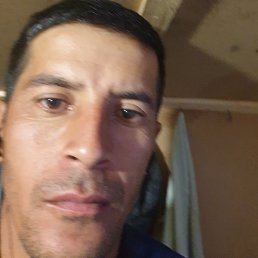 ��������, ������, 43 ����