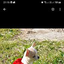 ���� �������, ������, 45 ��� - ��������� 12 ���� 2023 � ������ ���� ����������