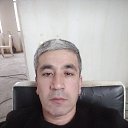 ���� �����, �����-���������, 43 ���� - ��������� 8 ������� 2023 � ������ ���� ����������