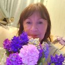 ���� �������, �������, 78 ��� - ��������� 20 ���� 2023 � ������ ���� ����������