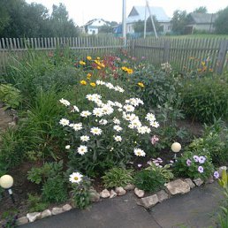 ���� ���������, �������, 59 ��� - ��������� 28 ���� 2023