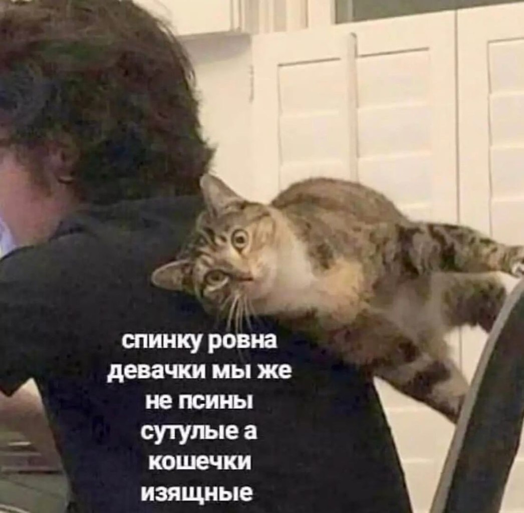    - 2  2023  11:22