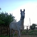 ���� Edem, ���������, 48 ��� - ��������� 28 ��� 2023 � ������ ���� ����������