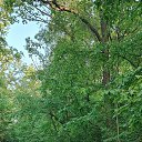 ���� ��, �������, 39 ��� - ��������� 12 ���� 2023 � ������ ���� ����������