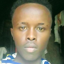 Alphonce, �������, 22 ����