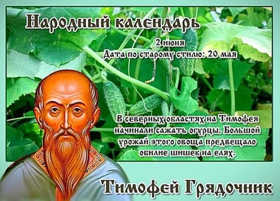 2 июня - Тимофей Грядочник. —————————————— Дата по старому стилю: 20 мая . В церковном календаре это ...