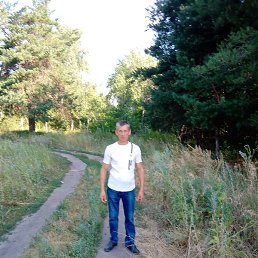 ���������, �������, 54 ����