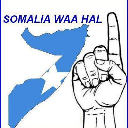 Naaji, �����������, 26 ���