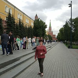 �����, ������, 66 ���