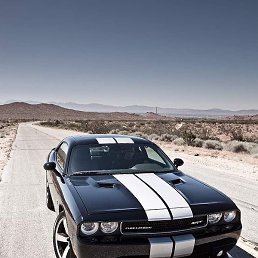 ������, �����������, 31 ���