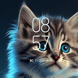 Jamoliddin, �����, 20 ���