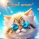 ���� ����, �����-���������, 48 ��� - ��������� 21 ������� 2023 � ������ ���� ����������
