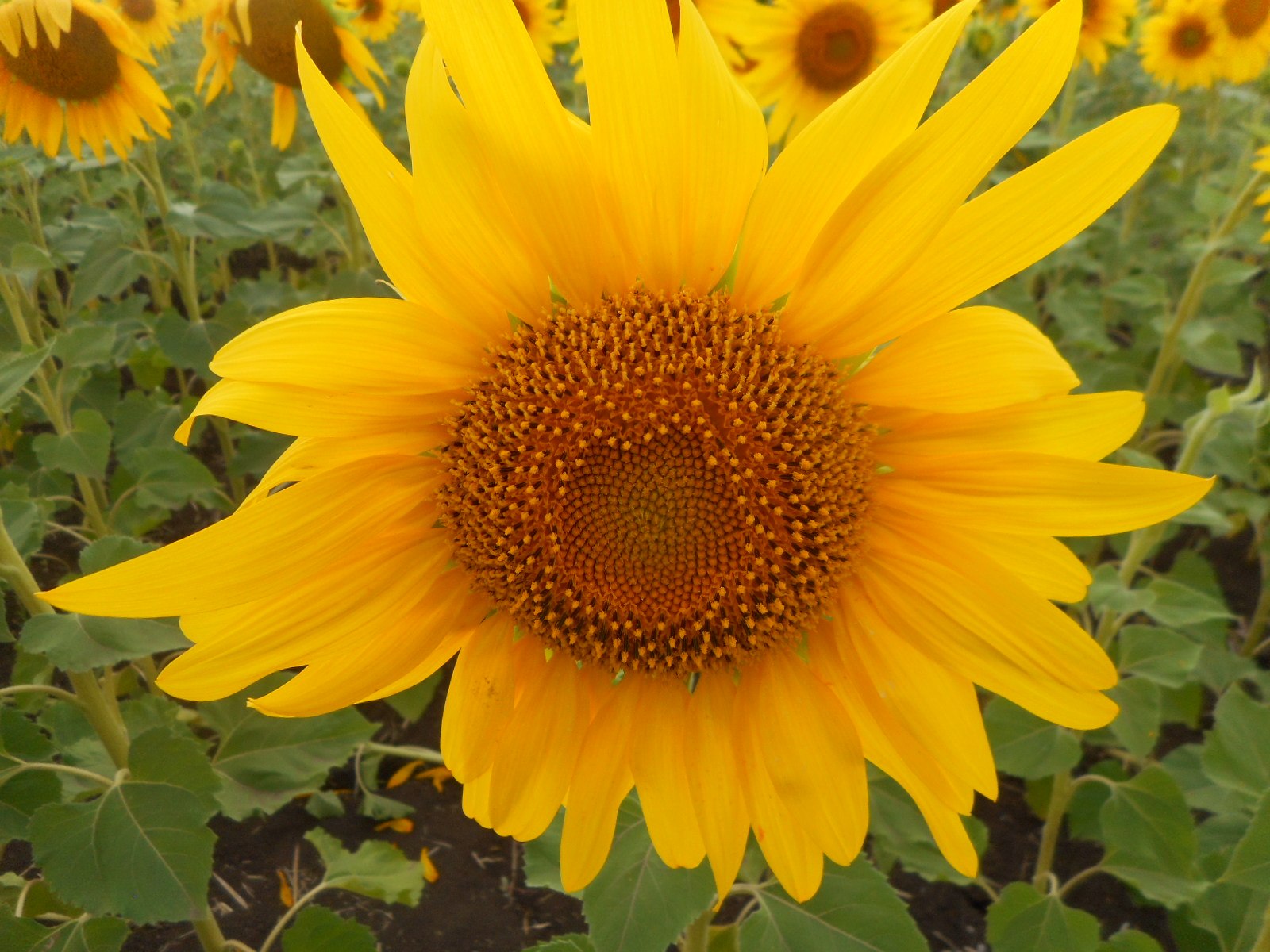  - 30  2023  16:20 - 5