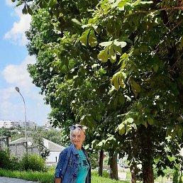 �������, ������, 62 ����