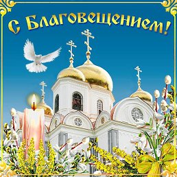 ���������, ����, 43 ����