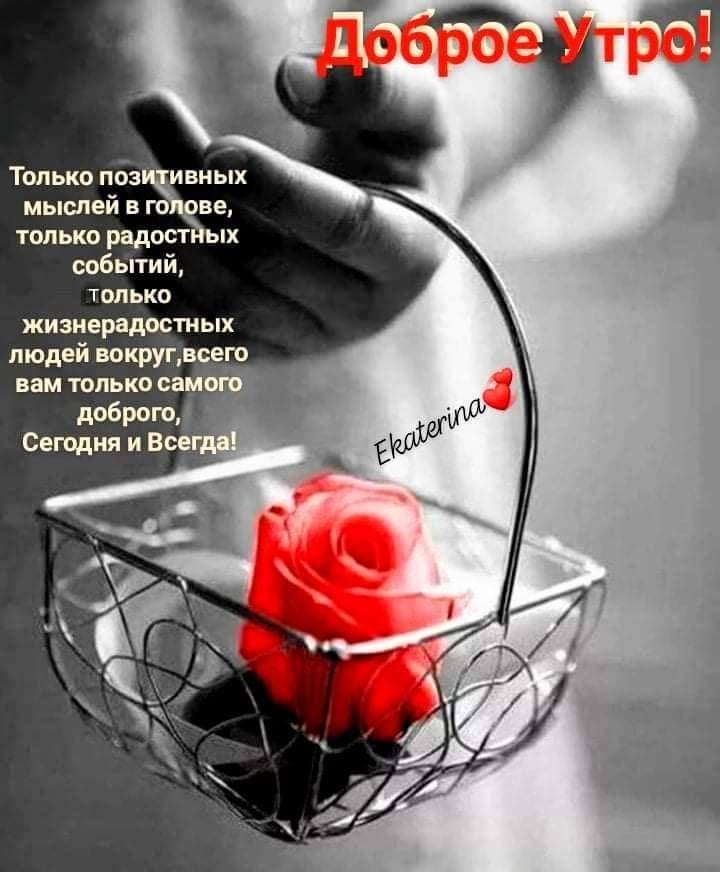 ������� ! - 3 ��� 2023 � 09:55