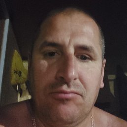 ������, ������, 46 ���