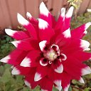 ���� �������, ������, 52 ���� - ��������� 24 �������� 2023 � ������ ���� ����������