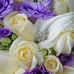 ���� �����, ����, 53 ���� - ��������� 15 ������� 2023