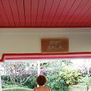 ���� �����, ������, 54 ���� - ��������� 4 ���� 2023