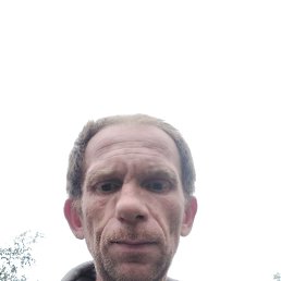 ���� �������, ������, 44 ���� - ��������� 14 ������� 2023