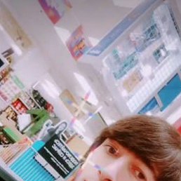 ����, �����-���������, 24 ����