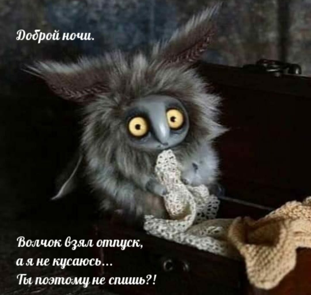 ~~~~~~~~~~~~~~~~~~~~~