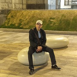 ����, ������, 37 ���