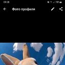 ���� �����, ��������, 41 ��� - ��������� 3 ���� 2023