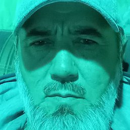 �����, ������, 54 ����