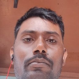 Arya, ��������, 43 ����