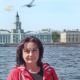 ���� ����, �����-���������, 48 ��� - ��������� 28 ���� 2023