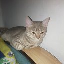 ���� ��������, �����, 37 ��� - ��������� 21 ����� 2023