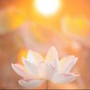 ���� Evi, ������ - ��������� 23 �������� 2023 � ������ ���� ����������