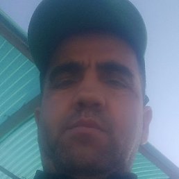 ������, �����-���������, 53 ����