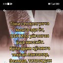 ���� ������, �����-���������, 41 ��� - ��������� 13 ���� 2023 � ������ ���� ����������