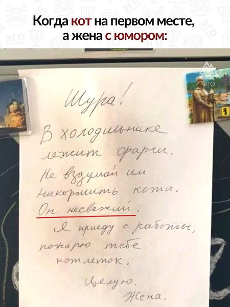 В семье, где царит чувство юмора, даже самые обыденные моменты превращаются в незабываемые ...