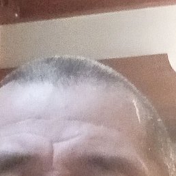 �����, ������, 49 ���