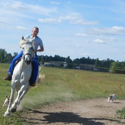 ���� �����, ������, 43 ���� - ��������� 7 ����� 2023