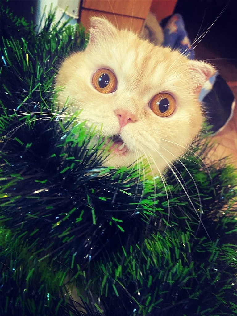 ������� ����� ��� ��� �� ���������)))