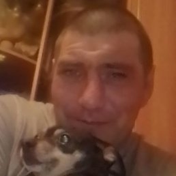 �������, ����, 47 ���