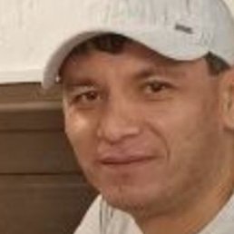 ����, �����-���������, 40 ���