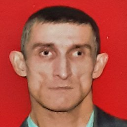 ������, ����, 55 ���